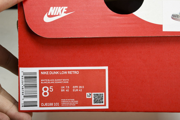 NIKE Dunk SB Low  DJ6188 101