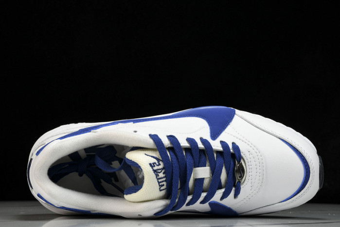 Air Jordan 5 Low "Alternate 95 "   102026 141