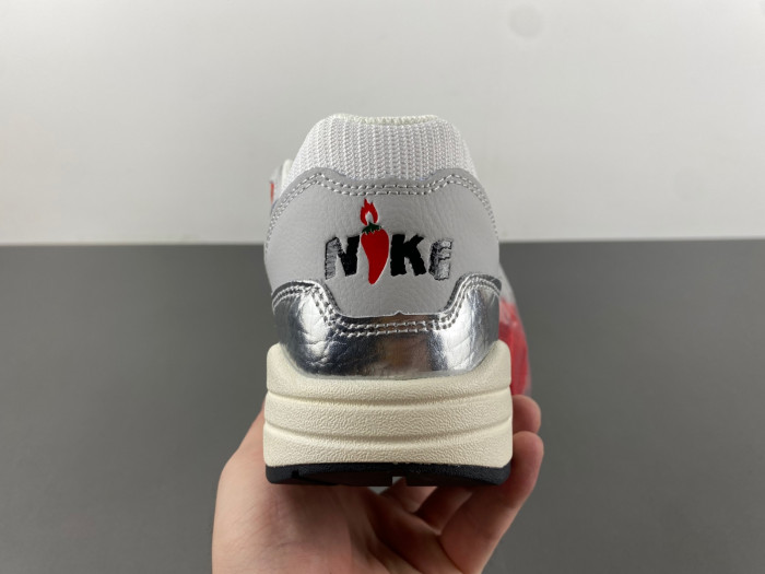 Nike Air Max 1 Premium SE HF7746-100