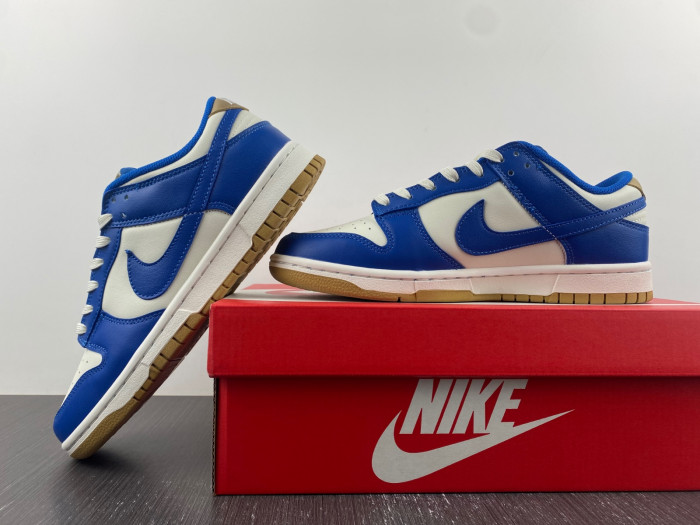 Nike Dunk Low  FB7173-141