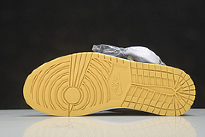 Air Jordan 1 Pollen 555088-701