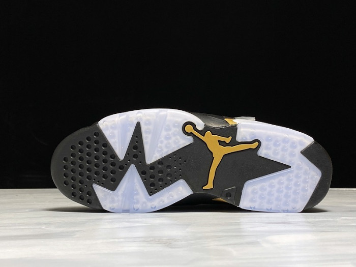 Air Jordan 6 Retro DMP (2020) CT4954-007
