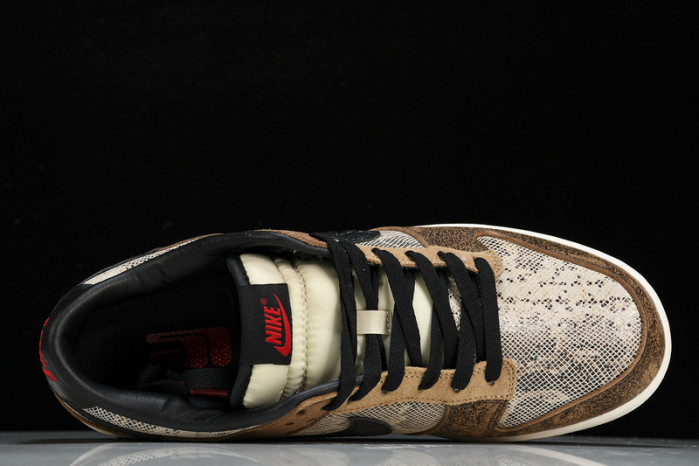 Nike Dunk Low Premium ATMOS  FJ5434-120