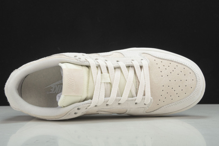 Nike Dunk Low Retro  Prm DD8338-001