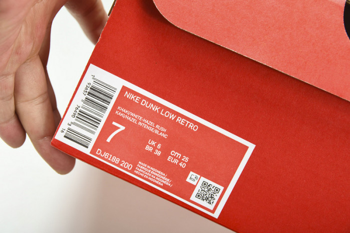 Nike Dunk Low "Judge Grey"  DJ6188-200