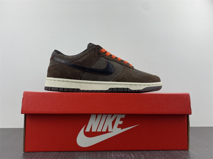 Nike Dunk Low Retro  DQ8801-200