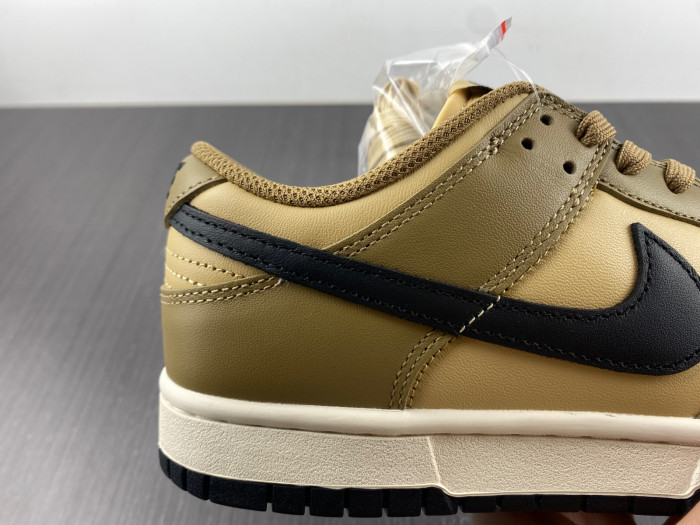 Nike SB Low Dark Driftwood DD1503-200