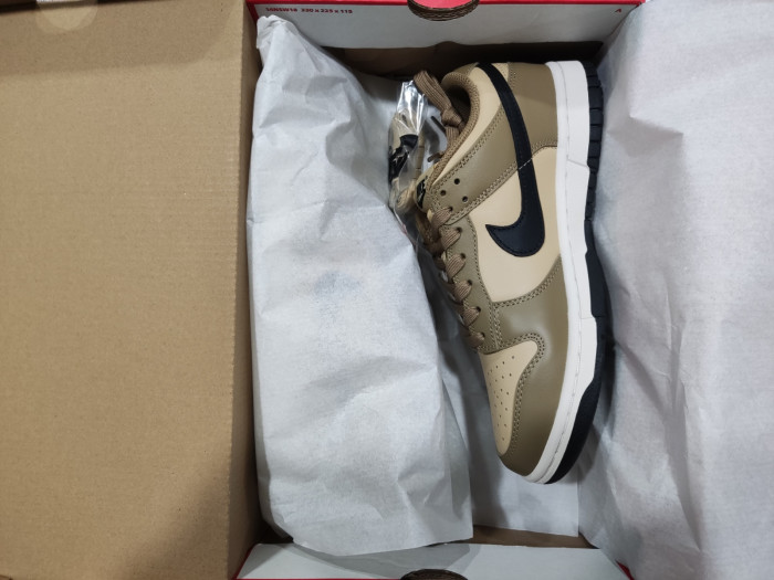 Nike SB Low Dark Driftwood DD1503-200