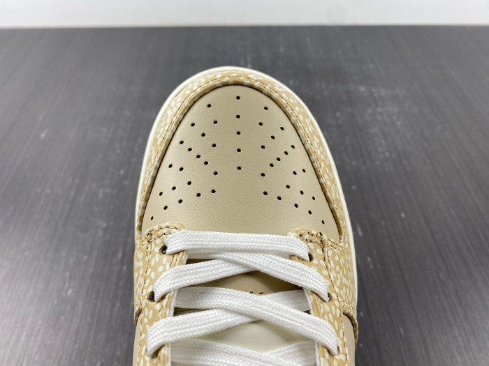 Nike SB Low "Sesame" DZ4853-200
