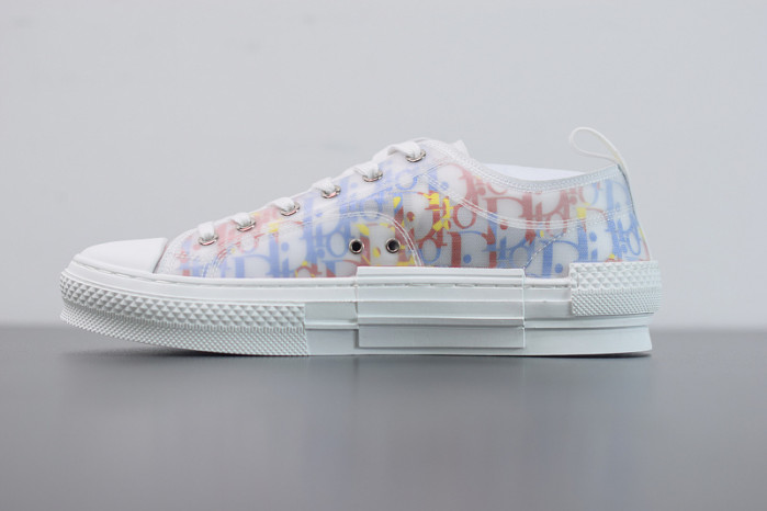 D10R B23 Oblique Low Top Sneakers L00N4