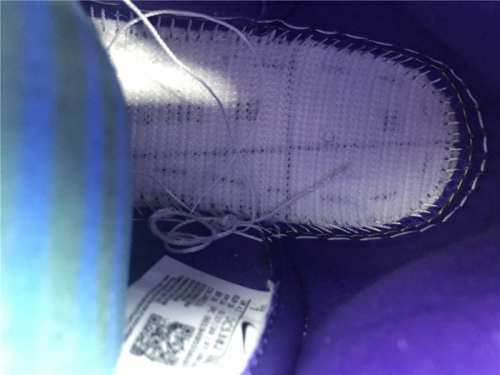 Nike Dunk High SP Varsity Purple (W) DC5382-100