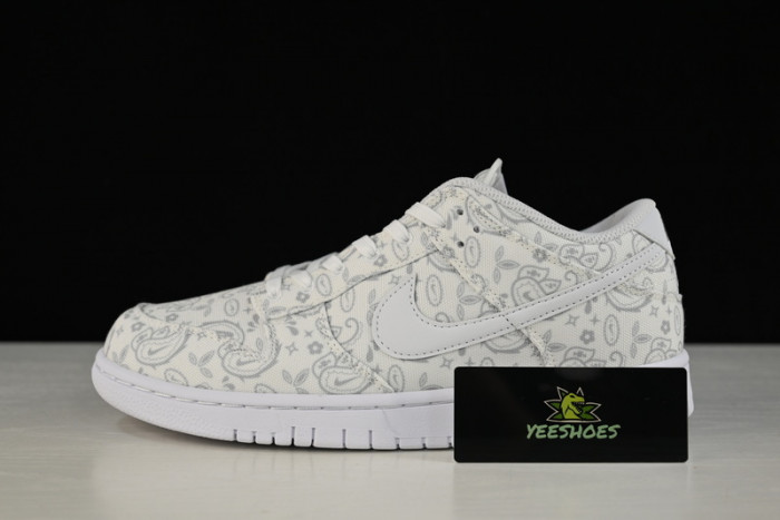 Nike Dunk Low DJ9955-100