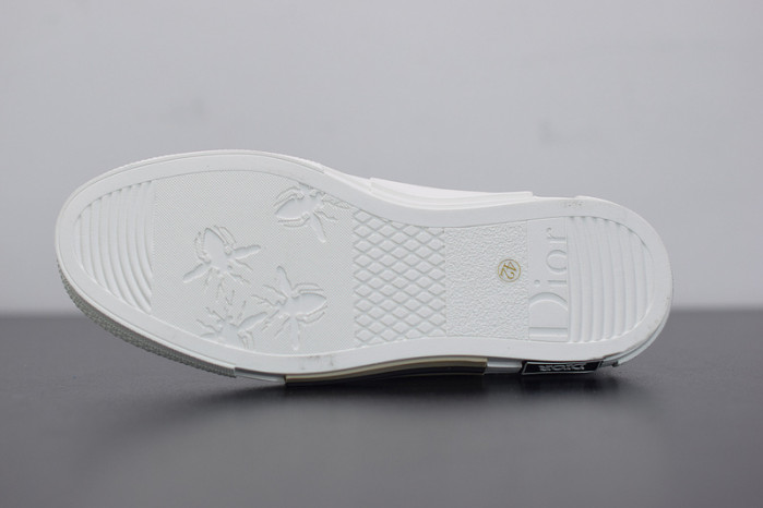 D10R B23 Oblique  Low Top Sneakers L00N4